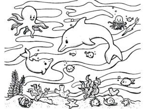 coloriage animaux marins