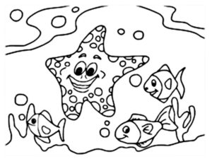 coloriage animaux mer