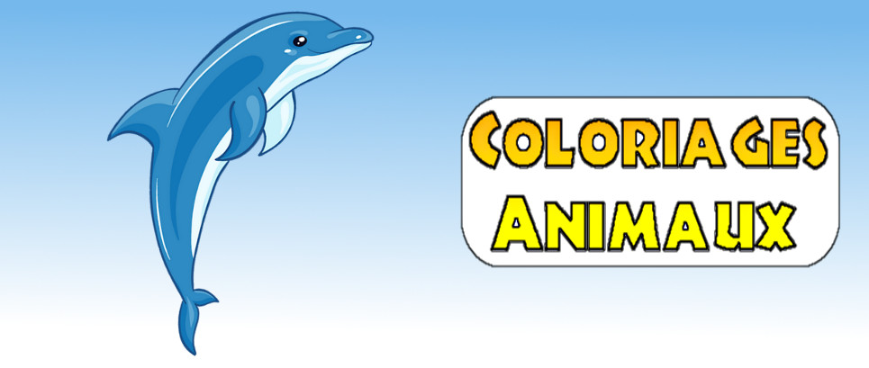 coloriage d animaux marin