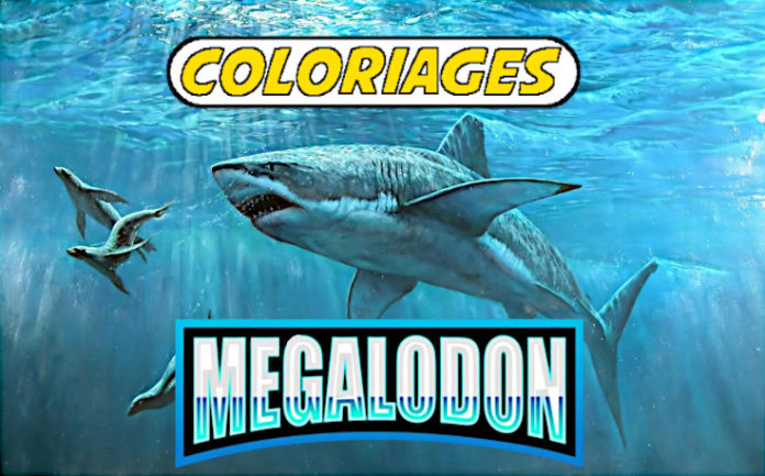 coloriage megalodon