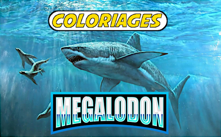 21+ Megalodon Coloring Page