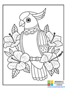 coloriage oiseau