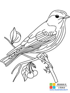 coloriage oiseau facile