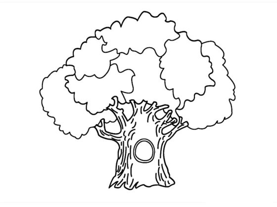 dessins arbres
