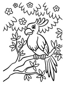 oiseau coloriage