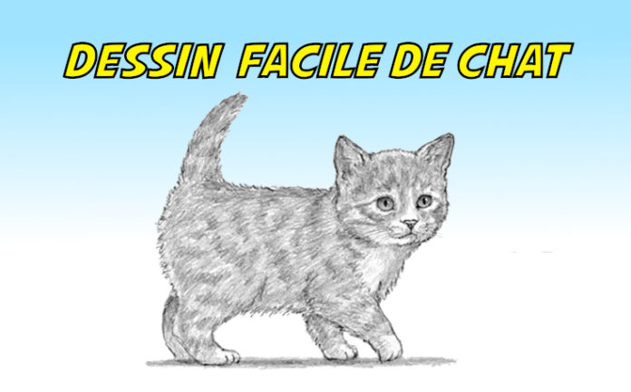 dessin chat facile