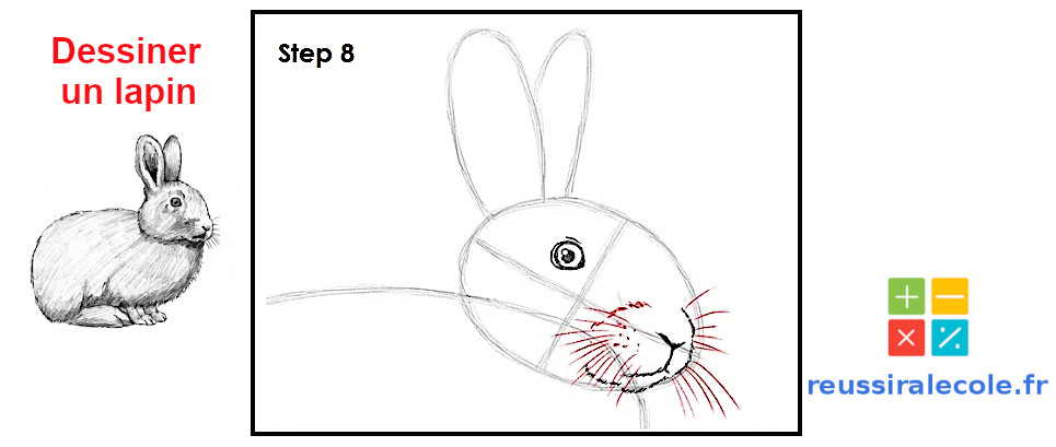 dessin de lapin facile
