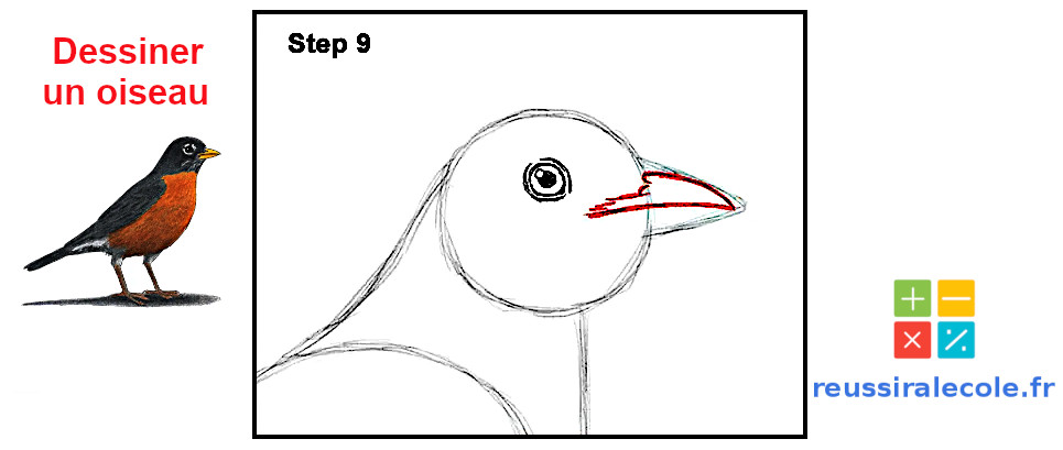 dessin oiseau facile a faire