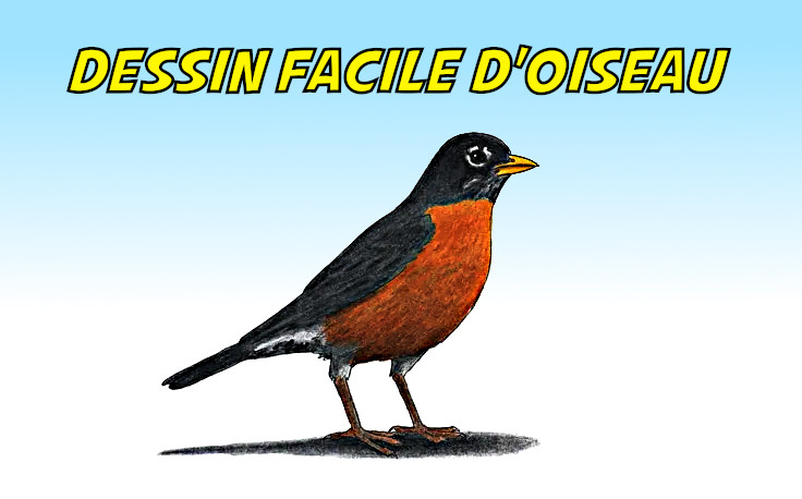 dessin oiseau facile