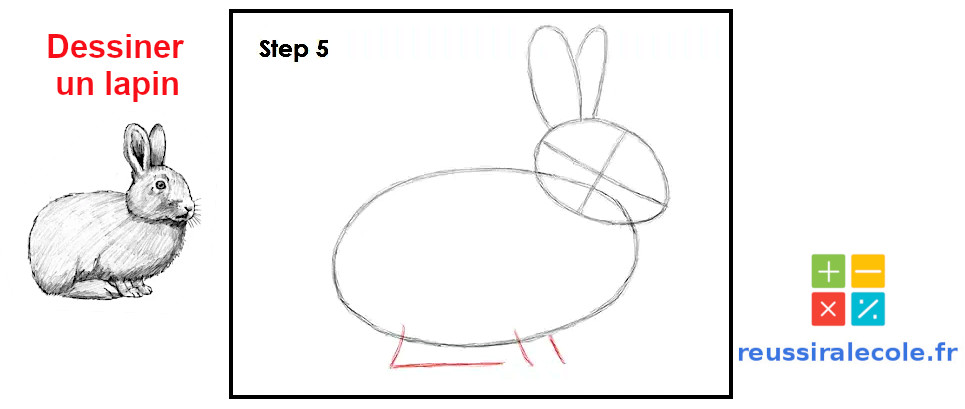 dessiner un lapin facile