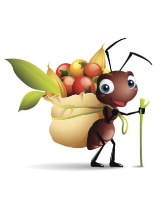 la cigale et la fourmi dessin
