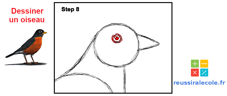 oiseau dessin facile