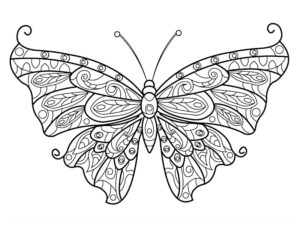 papillon dessin