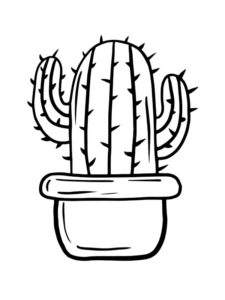 dessin cactus