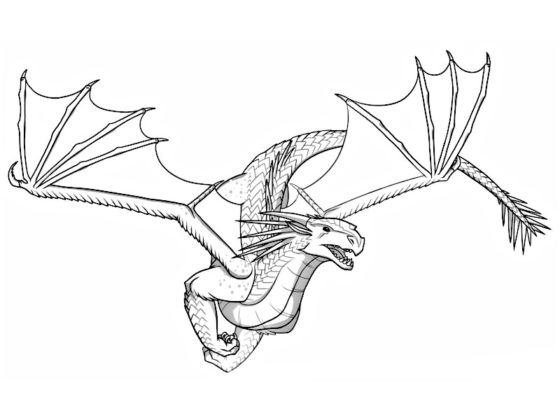 dragon a colorier