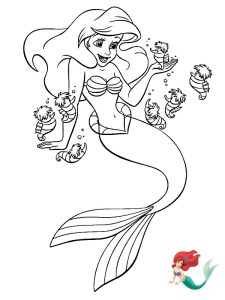 coloriage ariel