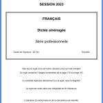 sujet francais brevet 2023