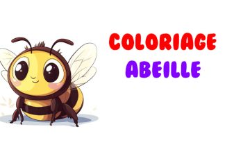 coloriage abeille