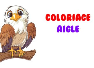 coloriage aigle