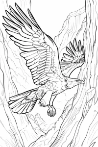 coloriage aigle royal