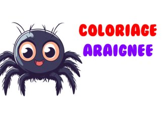 coloriage araignee