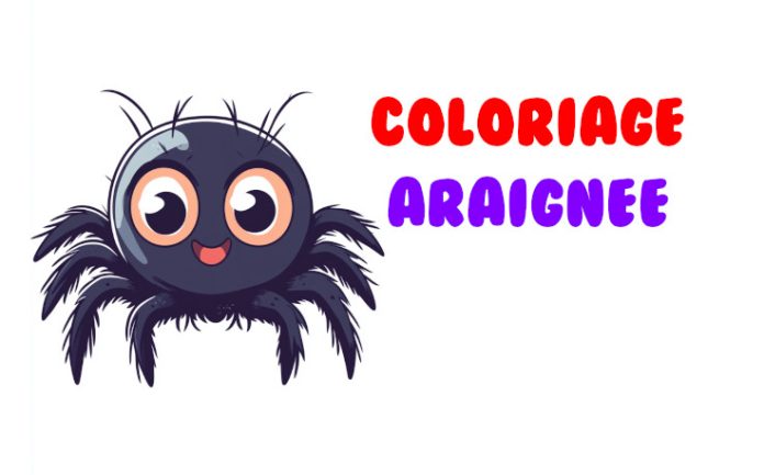 coloriage araignee