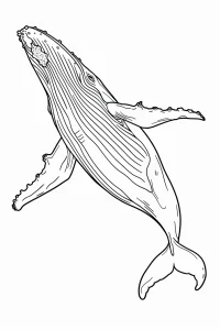 coloriage baleine maternelle