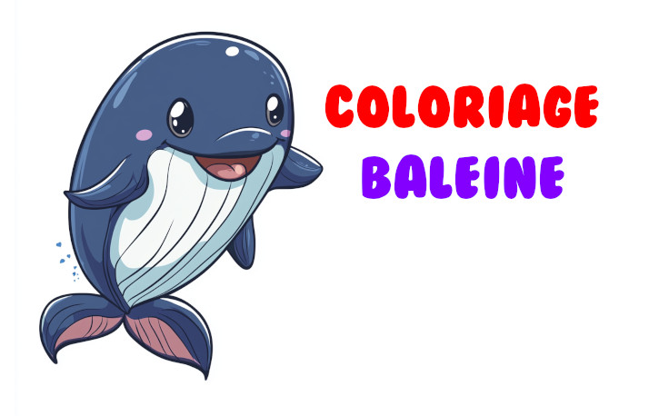 coloriage baleine