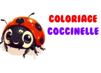 coloriage coccinelle