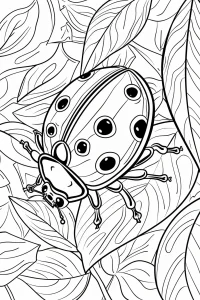 coloriage coccinelle facile