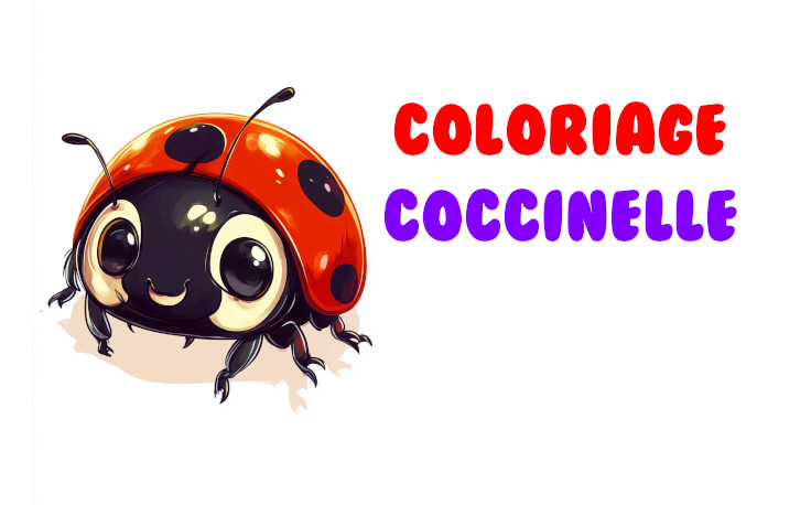 coloriage coccinelle