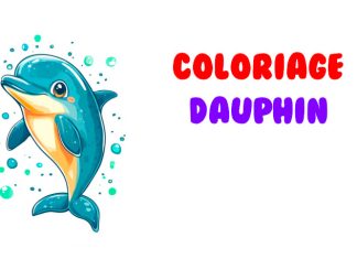 coloriage dauphin