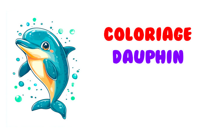 coloriage dauphin