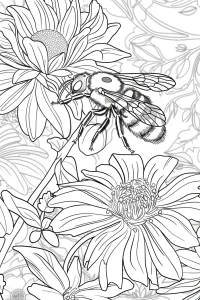 coloriage maternelle abeille